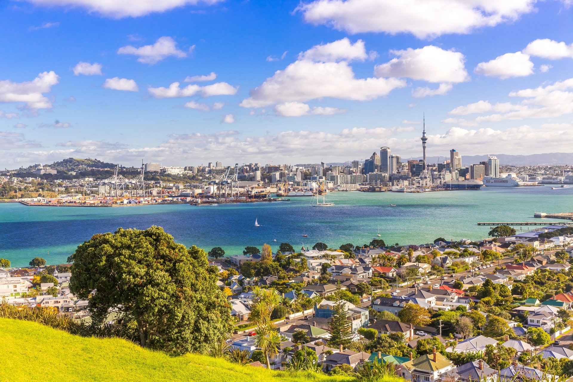从奥克兰北岸眺望市中心、海港与天空塔